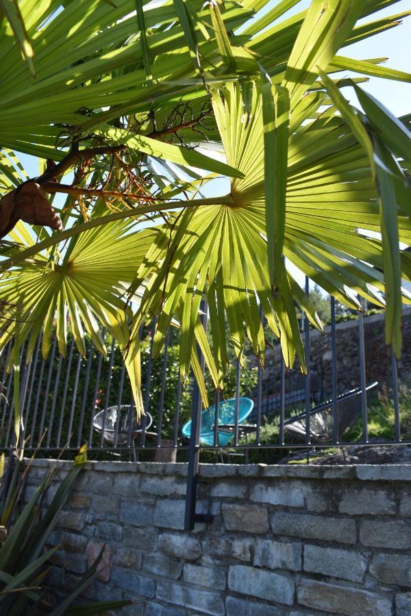 Apartment Monte E Lago Pianello Del Lario エクステリア 写真